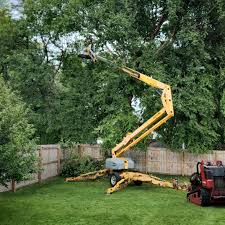 Best Tree Trimming and Pruning  in Silver Lake, NC